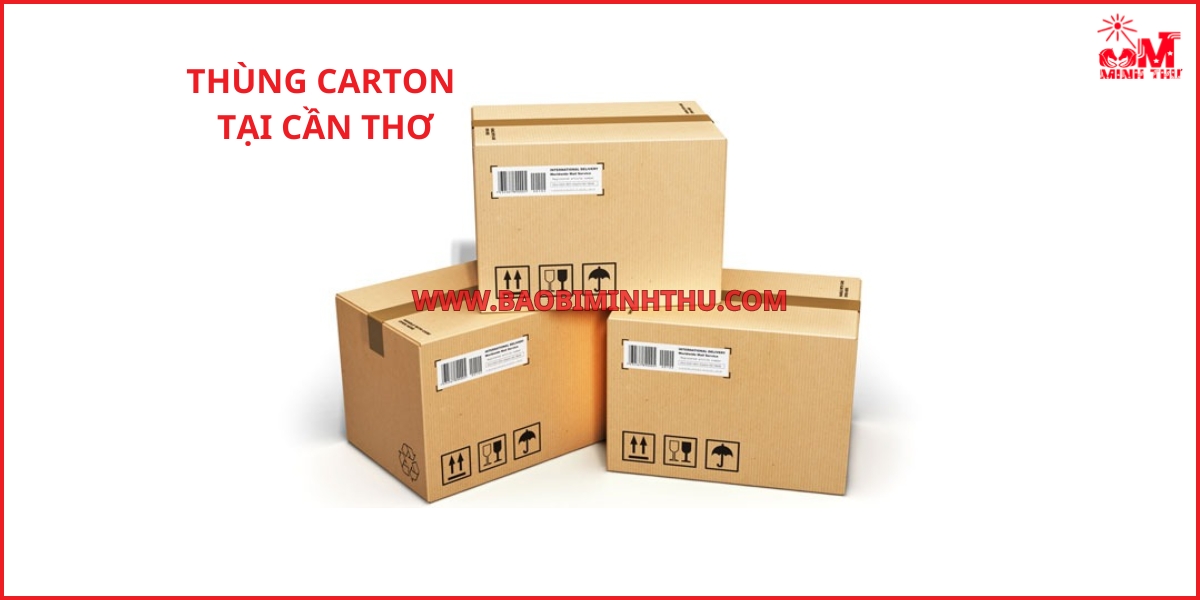 Công dụng thùng carton tại Cần Thơ