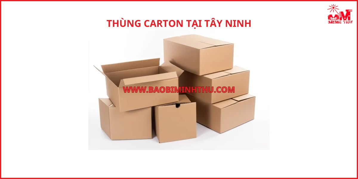 Công dụng thùng carton tại Tây Ninh