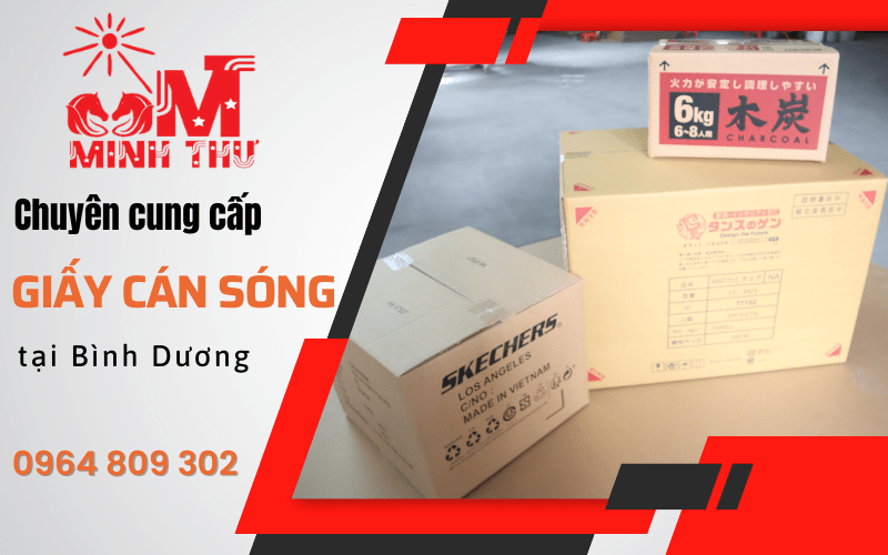 cung-cap-giay-can-song (2)