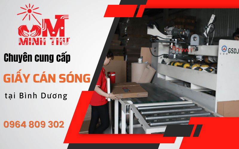 cung-cap-giay-can-song (4)