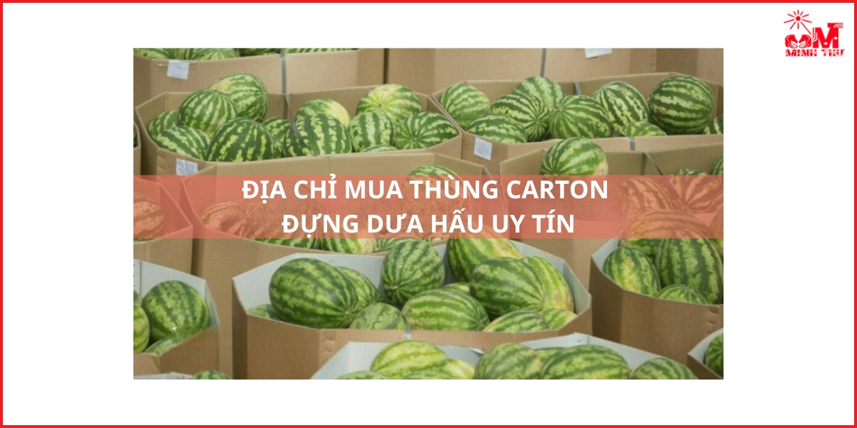 Địa chỉ mua thùng carton đựng dưa hấu