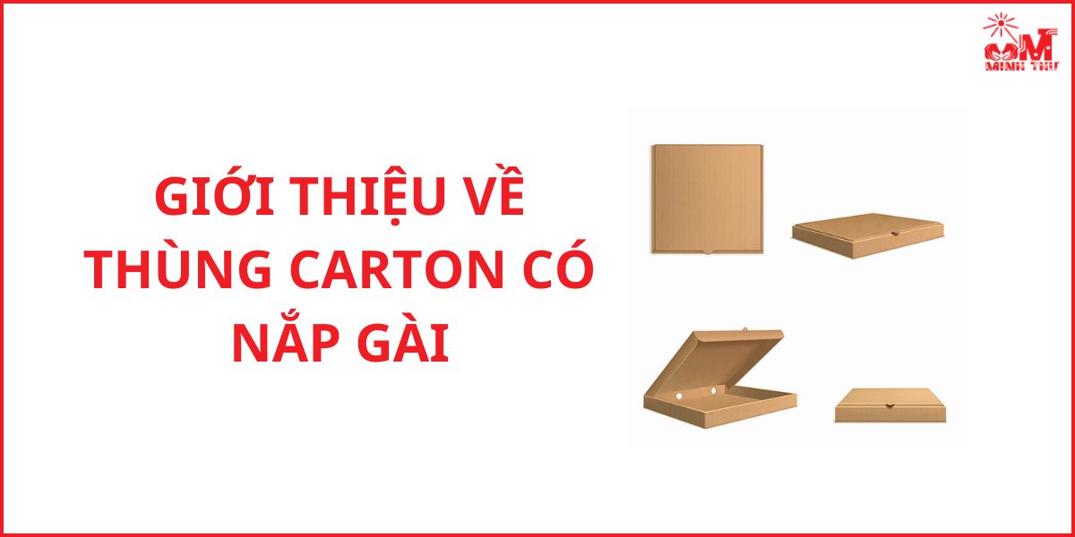 Thùng carton có nắp gài